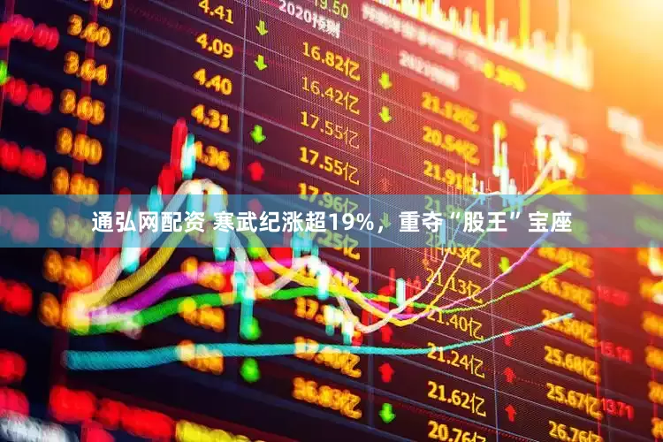 通弘网配资 寒武纪涨超19%，重夺“股王”宝座
